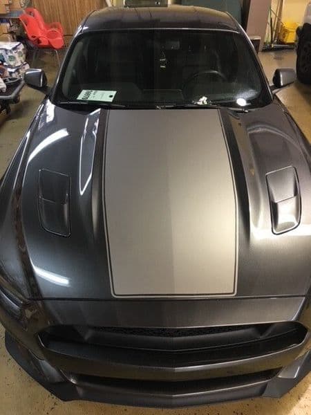 Retail Store Tinting